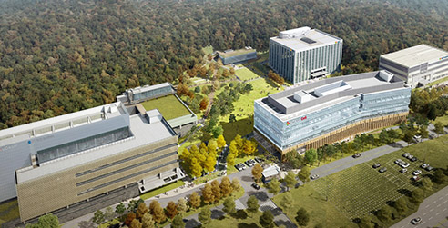 A representative photograph of developing a professional medicine.